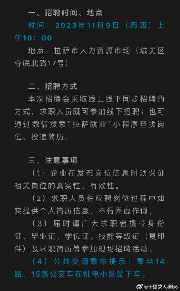 拉萨最新招工信息及其社会影响分析