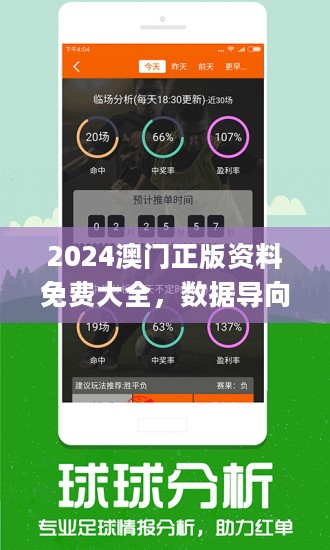 新澳2024今晚开奖资料,效率解答解释落实_影像版14.422