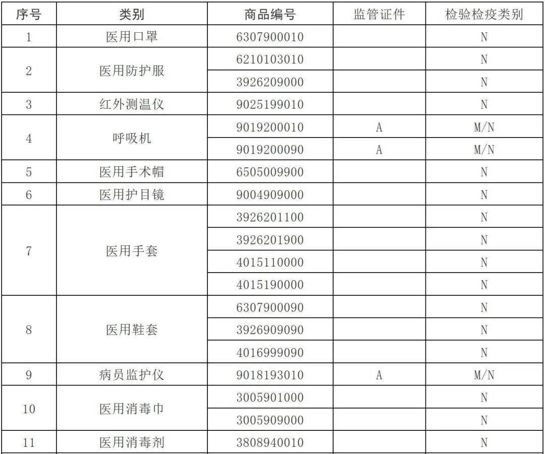 2024年11月19日 第10页